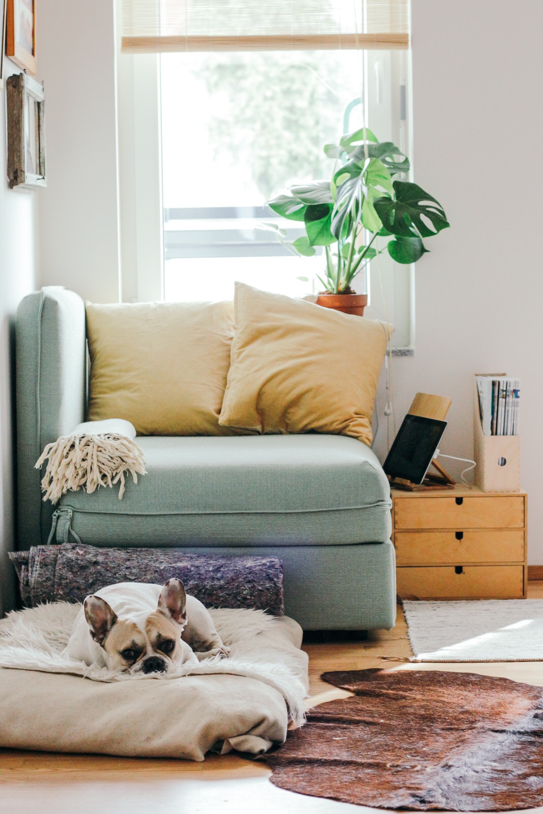 brina-blum-612693-unsplash-1