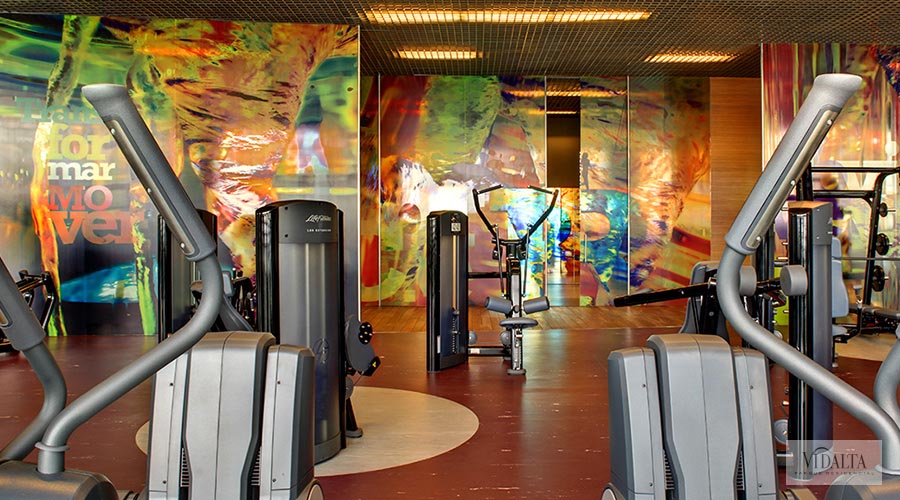 gimnasio2